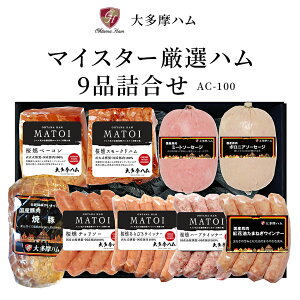 y 命nz ① Y100gp MATOI }gC 9i AC-100 hCc@ }CX^[In X[Nhn ē x[R ~[g\[Z[W {jA `\[ ECi[ ؓ 
