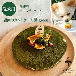 y Monte Palatinoz Ⓚ IWiXC[c ̃^gP[L green 12cm o[Xf[v[g ̂a J Mtg }ỎBƃXg epeB[m yb