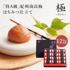 ya̎R D~z ݂͂d  i݁j 12 썂~gp ߂ڂ ~ A嗱TCY   ԗ @v 䋟 j o j a ̓ ̓ hV̓ 