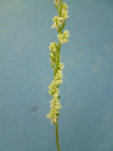 yzlWoi@lWoiώ@@~hdi[j炫