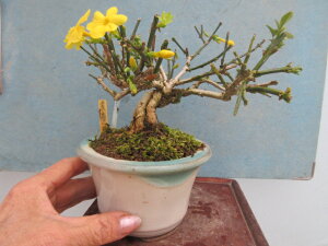 yz~́@~́@ԕ@ 艩~i ΂ jD