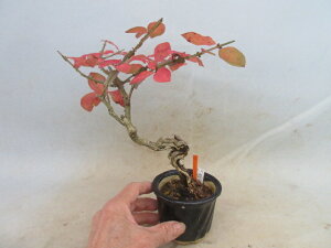 yz~́@~́@і؁ijVLMj@D