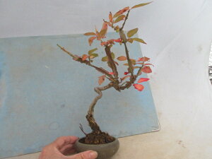 yz~́@~́@jVLMiі؁j@B