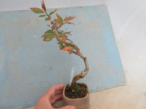 yz~j~́@jVLMiі؁j@A