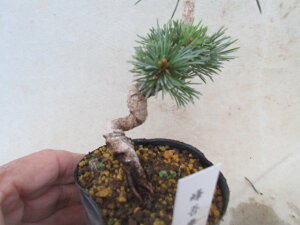 yz~́@[ܗt@ȁ@ڂ3N