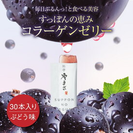 【約1ヶ月分】すっぽんの恵み コラーゲンゼリー30本入り ぶどう味 美容 ゼリー コラーゲン すっぽん 料亭やまさ アミノ酸 エラスチン プロテオグリカン ツバメの巣 セラミド ザクロ 女性 酵素 乳酸菌 送料無料 プレゼント 贈り物