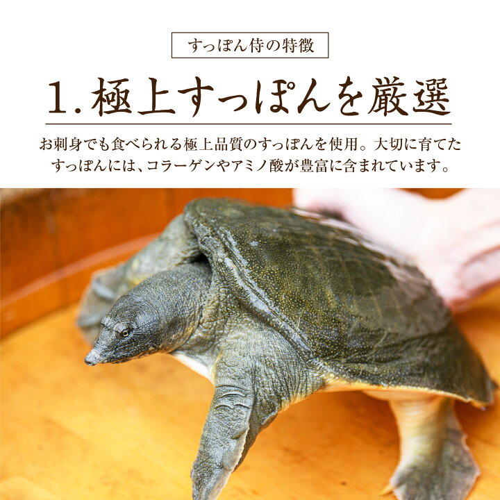 楽天市場】【公式】すっぽん侍 1袋62粒入り(約1か月分) すっぽん マカ 