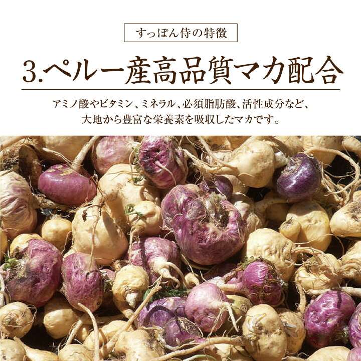 楽天市場】【公式】すっぽん侍 1袋62粒入り(約1か月分) すっぽん マカ 