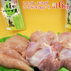 楽天市場 鶏むね肉の通販