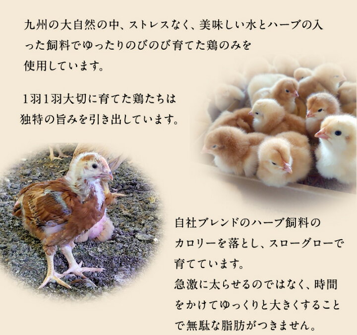楽天市場 冷凍 熊本県産 肥後のうまか赤鶏 ささみ 1kg 国産 鶏肉 鶏 とり 鳥 ササミ お取り寄せ 燻製 鶏ササミ バンバンジー サラダ 蒸し鶏 食のやまうち