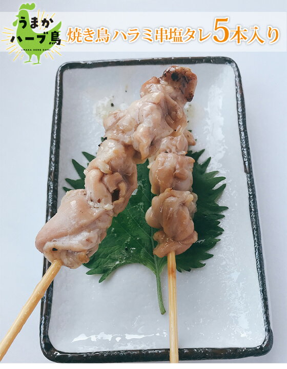 楽天市場 冷凍 炭焼き鳥串 鶏はらみ串 塩タレ 九州産 冷凍 惣菜 おかず おつまみ やきとり 焼き鳥 焼鳥 国産 鶏ハラミ ハラミ はらみ 希少部位 オードブル 串 焼鳥串 q 九州 夏 文化祭 学園祭 祭り ビール 海 Yakitori Yakitori 塩 たれ 食のやまうち