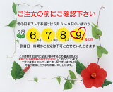 楽天市場 鉢花 アジサイゼブラ 植物あそび研究所