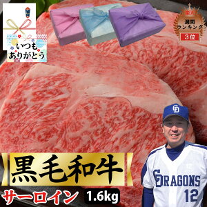 yјa T[C Xe[L z 1.6kg 200g×8 T[CXe[L јa a ē  ō v[g 蕨   Ε ̓ ̓ Mtg a hV̓ j