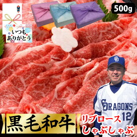 【黒毛和牛 リブロース しゃぶしゃぶ 500g】250g×2 黒毛 和牛 リブロース 国産 牛 セット しゃぶしゃぶ 和牛 肉ギフト お取り寄せ グルメ 贈り物 お中元 母の日 お歳暮 父の日 敬老の日 ギフト 誕生日 内祝い お返し 結婚祝い 記念日 MS【もつ鍋真】