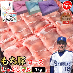 y [X Ԃԁz1kgZbg [X250g×4 Y  Ԃ ؓ [X uh XCX Ԃ Mtg v[g O 蕨   ̓ 
