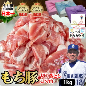 【もち豚 コマ切れ】250g×4個 1kg 国産 豚コマ 小分け 大容量 豚肉 ブランド豚 焼肉 スライス 豚小間肉 ぶた肉 ギフト プレゼント グルメ 贈り物 お取り寄せ お中元 父の日 お中元 お歳暮 父の日ギフト 誕生日 内祝い お返し 結婚祝い 記念日 お祝い 贈答品【もつ鍋真】