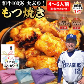 【もつ焼】480g 4〜6人前 もつ 240g×2個 特製たれ 50g×2個 和牛ぷりぷり 国産 もつ焼き 和牛 100％使用 もつ 和牛 小腸 焼肉 プレゼント グルメ 贈り物 お取り寄せ お中元 母の日 お歳暮 父の日 ギフト 誕生日 内祝い お返し 結婚祝い 記念日 お祝い【もつ鍋真】