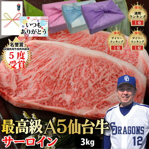y䋍 T[C Xe[Lz3kg 300g×10Zbg ō A5 N ґ ē  јa a o[xL[ ō Xe[L Mtg v[g O 蕨   ̓ 