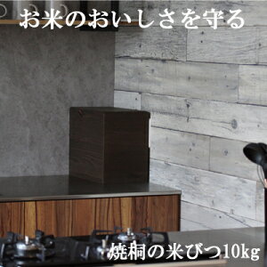 ː Ăт ċ 10kg  {   El  Y   ğC ߂т h  RpNgTCY CXXgbJ[ ۑpɍœK [ VR f ē ۊ X 