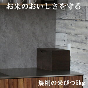 ːĂт { ˂̕Ăт ċ 5kg 5kgp  ğC ߂т   h  Lb` X    CXL[p[ CXfBXyT[ ۑp RpNg 20cm C