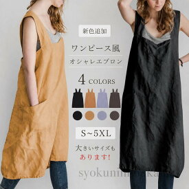 新色追加 おしゃれ エプロン ワンピース 風 カフェ 図書館 大人 おしゃれ 可愛い エプロン ブラック オレンジ ブルー ブラウン 大きい ポケット