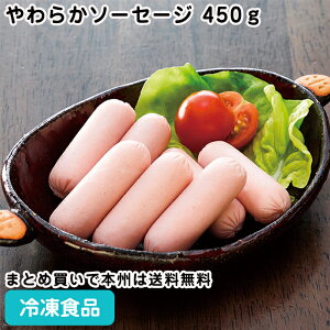 炩\[Z[W 450g 26731(ⓀHi Ɩp  ٓ Ⓚ `L |[N  t ~jTCY  y 炩)