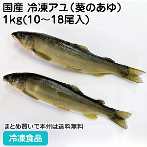 YⓀAîj 1kg(10) 27491(ⓀHi Ɩp  ٓ  Ⓚ)