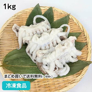 SECJ 2/4 1kg 27517(ⓀHi Ɩp  ٓ Ⓚ H CJ  SE 񂲂   Q\  X[p[)