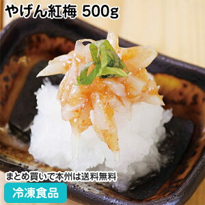 ₰g~ 500g 27586(ⓀHi Ɩp  ٓ H y RR IB썂~̔~ ґȒ)