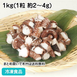 ȂJbg 1kg 612439(ⓀHi Ɩp  ٓ ƖpHi ƖplbgA|LINE ܂ o IQF )