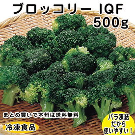 【業務用 冷凍野菜】ブロッコリー IQF 500g(約35-45個入) 8851(冷凍食品 業務用 おかず お弁当 カット済 バラ凍結 バラバラ 緑黄色野菜 簡単 便利 調理 短縮 時短 ストック)