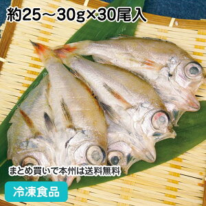 ̂ǂJ(S) 25-30g×30 11162(ⓀHi Ɩp  ٓ mhO  ċ ̂ǂ )