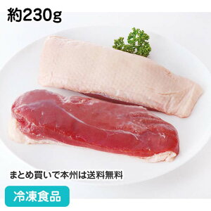  Xe[L (220/240) 230g 114009(ⓀHi Ɩp  O [Xg mH  ٓ)