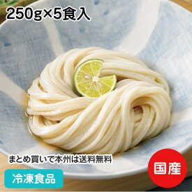 麺始め 包丁切り讃岐うどん 250g×5食入 12904(冷凍食品 業務用 冷凍うどん さぬき 饂飩 ウドン)