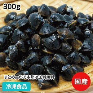 Y  ʂ a 300g 174013(ⓀHi Ɩp  ٓ kt  o aH L  V[t[h 񂶂  )
