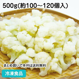 冷凍野菜 カリフラワー(ミニ) IQF 500g(約100-120個入) 18069(冷凍食品 業務用 おかず お弁当 バラ凍結 簡単 時短)