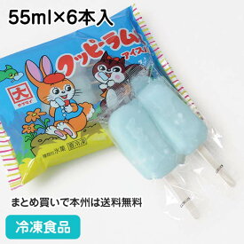 クッピーラムネアイス 55ml×6本入 19720(冷凍食品 業務用 アイス らむね ソルベ シャーベット デザート スイーツ)