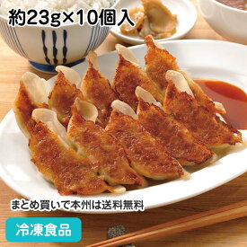 デリカ焼ギョーザ(焼調理済)タレ無 約23g×10個入 20099(冷凍食品 業務用 おかず お弁当 一品 飲茶 点心 ギョウザ ぎょうざ 中華料理)