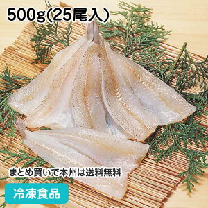 J 500g(25) 20360(ⓀHi Ɩp  ٓ VՂ tC  V[t[h)