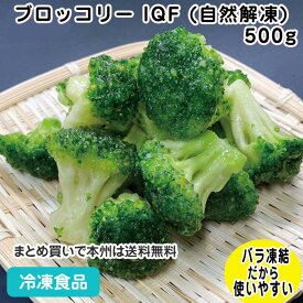 【業務用 冷凍野菜】ブロッコリー IQF (自然解凍) 500g 20825(冷凍食品 業務用 おかず お弁当 簡単 時短 バラ凍結)