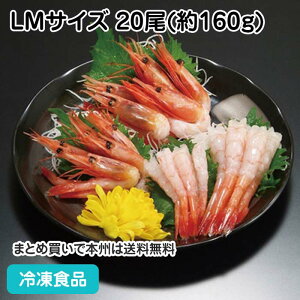ÃGrL LMTCY 20(160g) 20884(ⓀHi Ɩp  ٓ hg il^ CV i)