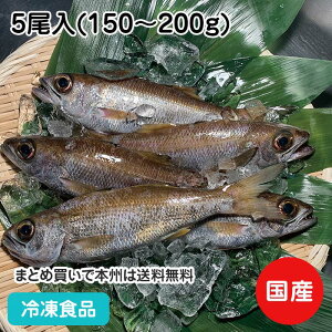Mp Nc () 5(150-200g) 22052(ⓀHi Ɩp  ٓ Od h  )
