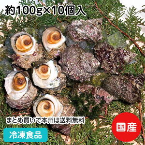 TUG 100g×10 23054(ⓀHi Ɩp  ٓ h  BBQ  k ڏ)