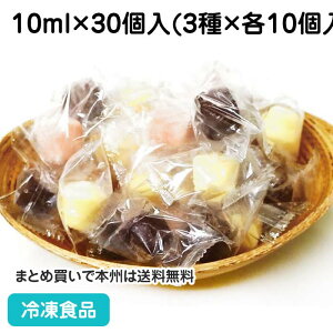 ЂƂACX 300ml(10ml×10×3) 23081(ⓀHi Ɩp  oj `R[g Xgx[ )