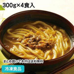 ]J[ǂ 300g×4H 23357(ⓀHi Ɩp Ⓚ ǂ t  ׂ)