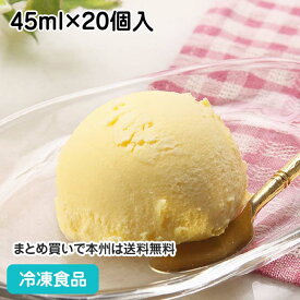 LSポーションバニラアイス45ml×20個 (ラクトアイス) 23600(冷凍食品 業務用 文化祭 アイス バニラ アイスクリーム 学園祭 個包装)