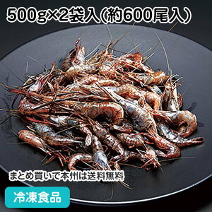 GrM(4-6cm) 500g×2 23751(ⓀHi Ɩp  ٓ H Gr CV  uX^[ 蒷CV )