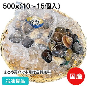 OdY ɐp͂܂蒆 500g(10`15)(ⓀHi Ɩp  ٓ ƂƎs H  ㎿ } vM)