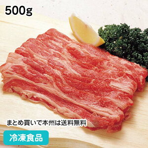 oE XCX 500g 60004(ⓀHi Ɩp  ٓ Ⴊ  uߕ r[t  XCX)