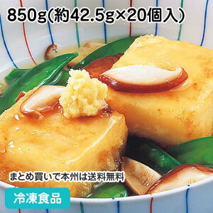 gpubN40 850g(20) 87697(ⓀHi Ɩp  ٓ  Ƃ go  aH)